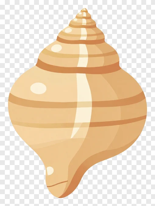 A beige shankh conch shell with smooth texture and horizontal stripes.