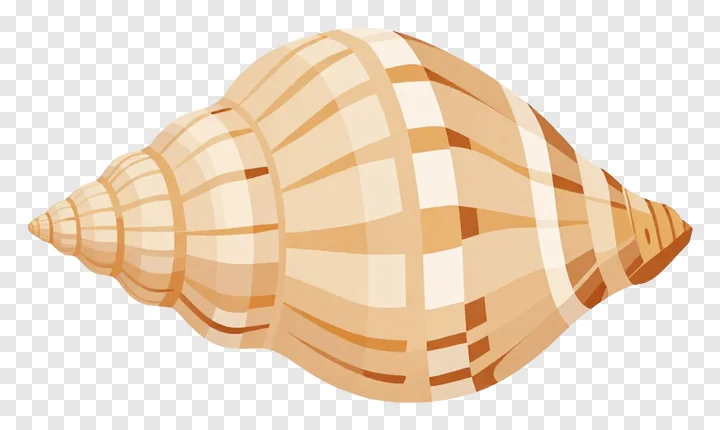 A beige and cream striped shankh conch shell.