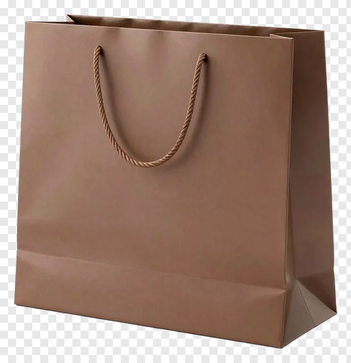 A brown paper shopping bag with rope handles.