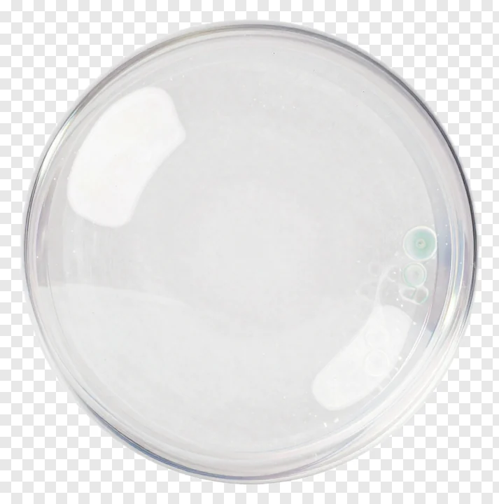 A clear bubble containing dust particles.