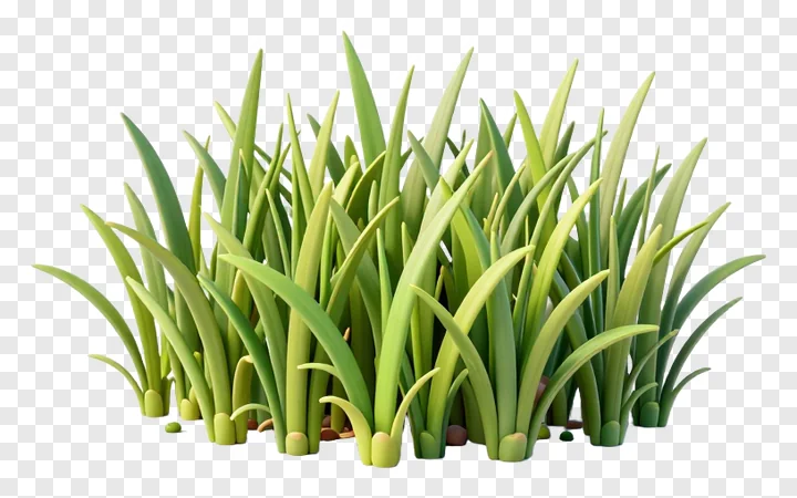 A clump of vibrant green grass rendered in 3D.