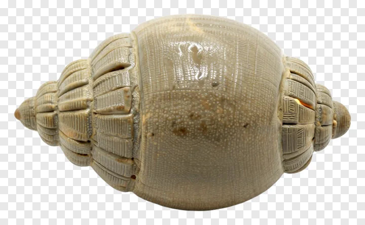 Hand-thrown clay seed pod with textured ridges.