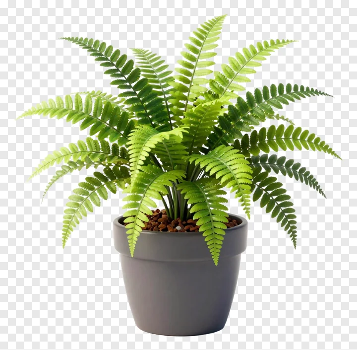 A potted fern with vibrant green fronds in a gray container.