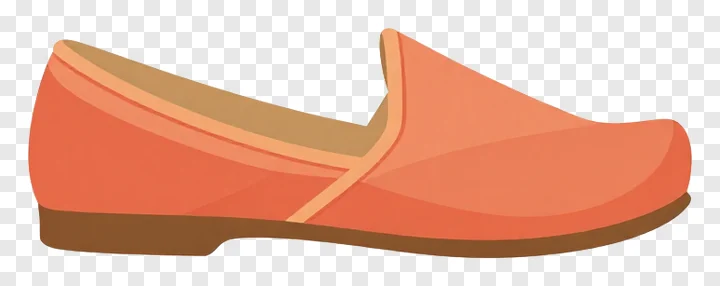A traditional Punjabi jutti shoe.