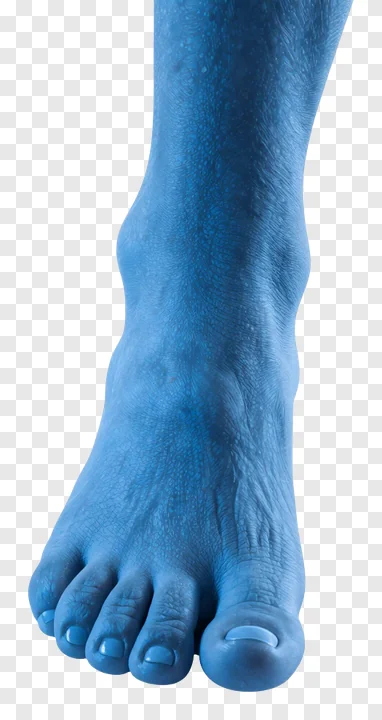 A blue 3D-rendered foot with textured skin.