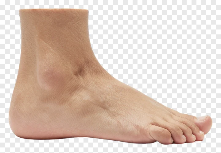 A realistic human foot with natural skin texture.