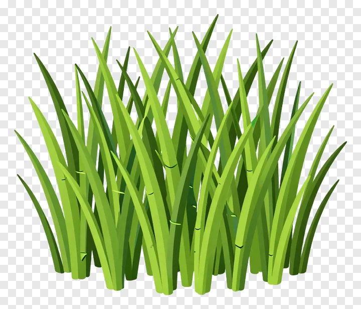 A clump of vibrant green grass blades.