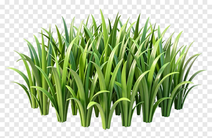A 3D-rendered clump of vibrant green kash grass.