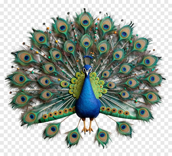 A 3D-rendered peacock with a fanned tail in a rangoli design.