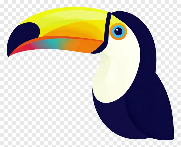 A toucan with a colorful beak and blue eye.