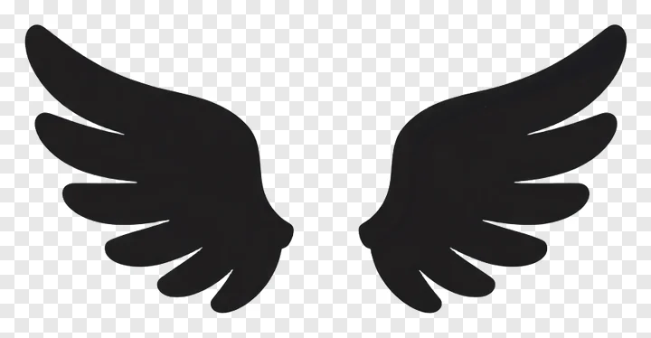 Stylized dove wings spread wide.