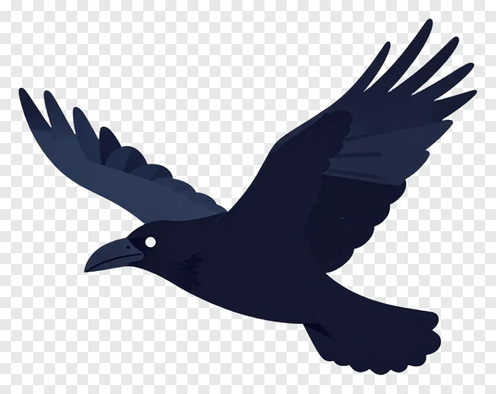 A black raven flying with outstretched wings.