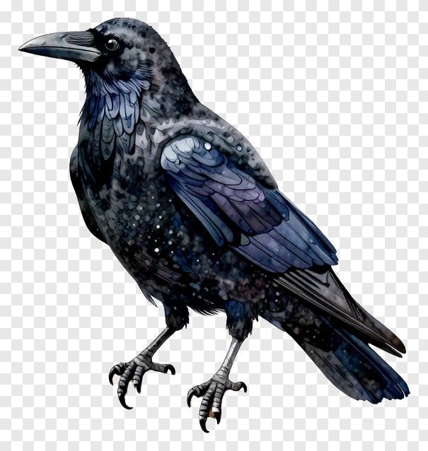 A raven standing on a branch.