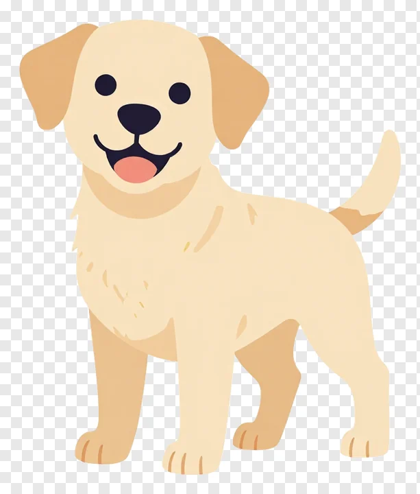A smiling golden Labrador dog with a curled tail.