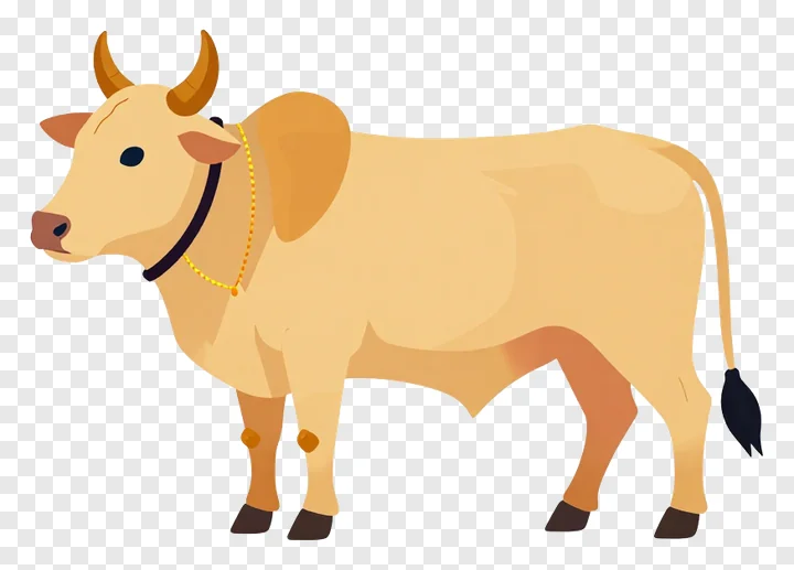 Decorated cow with gold bell around neck.