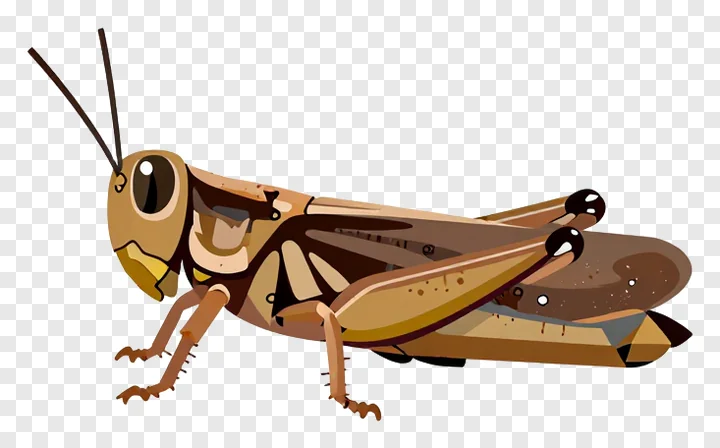 Cartoon grasshopper in mid-jump.