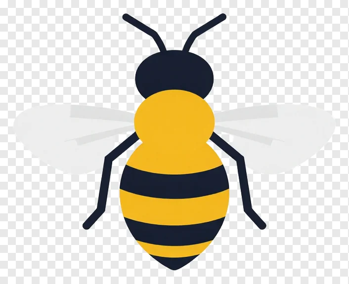A honey bee with yellow and black stripes.