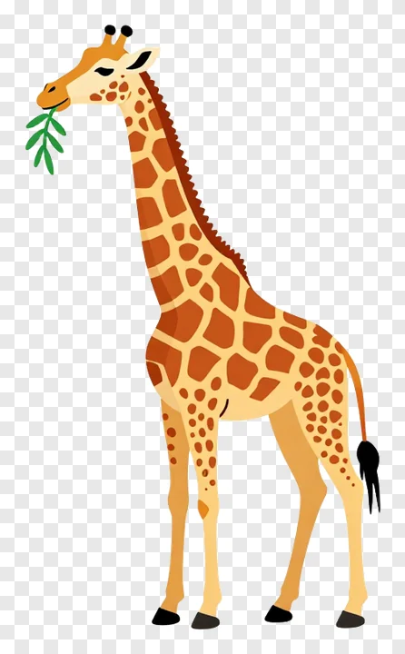 A giraffe chewing a leaf slowly.
