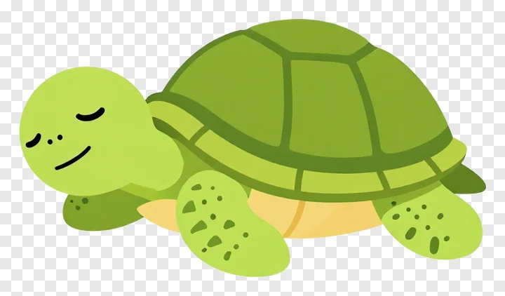 A sleepy green turtle sunbathing.