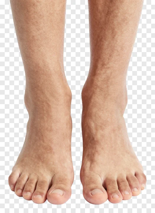 A pair of bare feet with visible veins on the ankles.