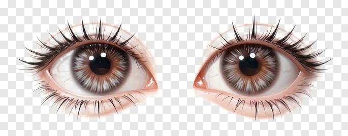 A pair of brown eyes with long lashes.