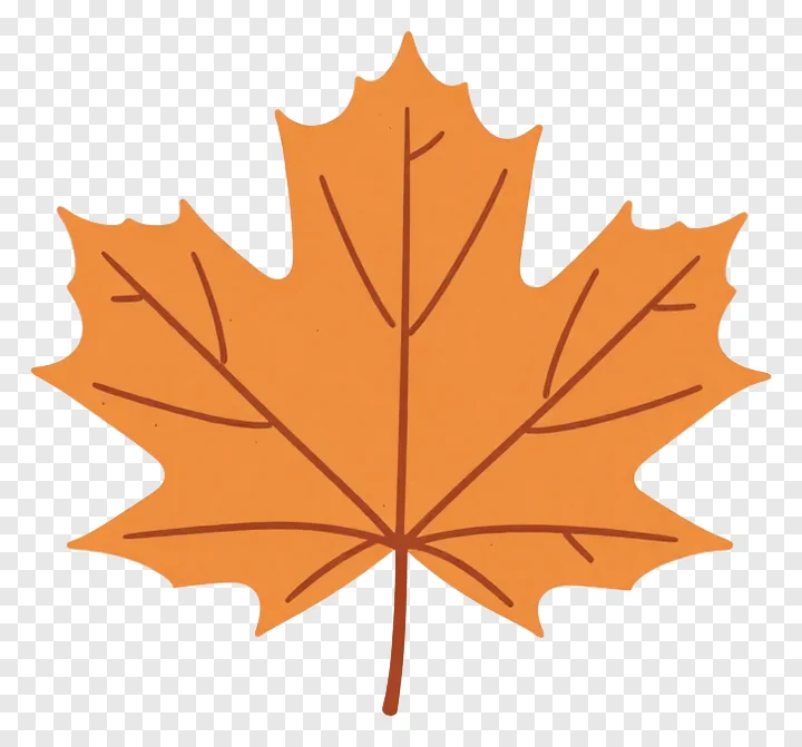 An orange maple leaf garnish illustration.