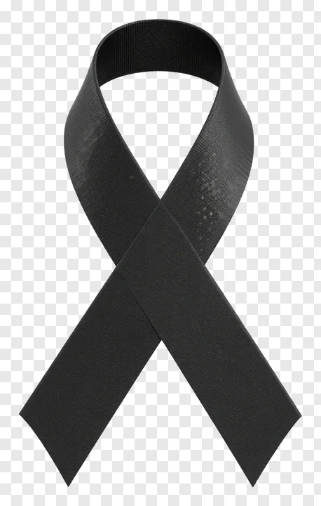 A black ribbon with a textured surface.