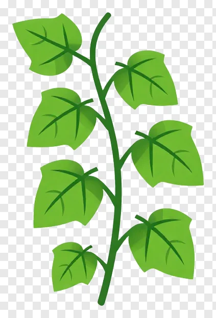 Green leafy vine with curved stems.