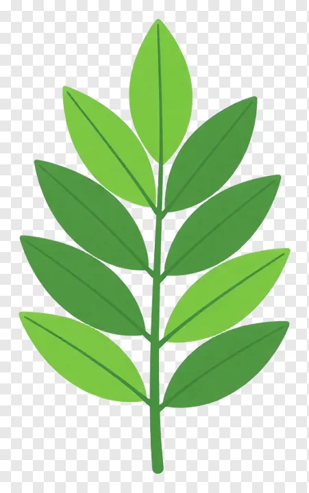 Green neem leaf ornament design