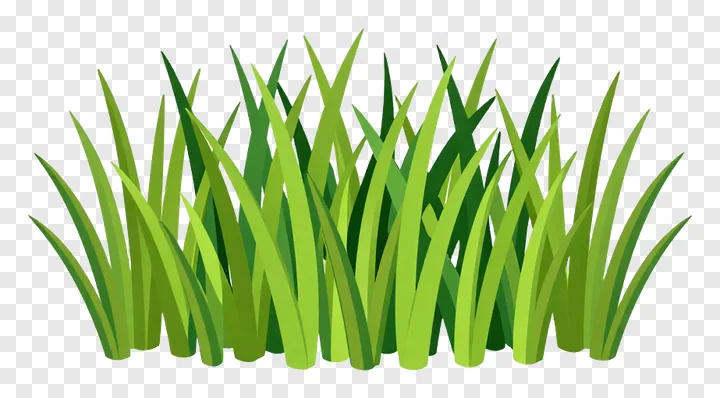 A clump of vibrant green grass with pointed blades.