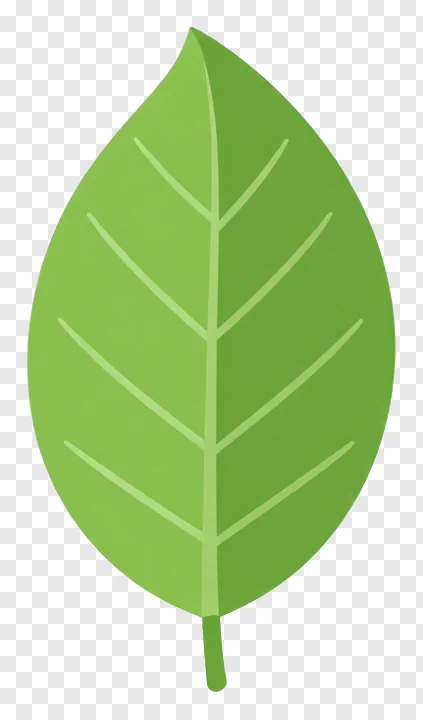 A mango leaf toran decoration.
