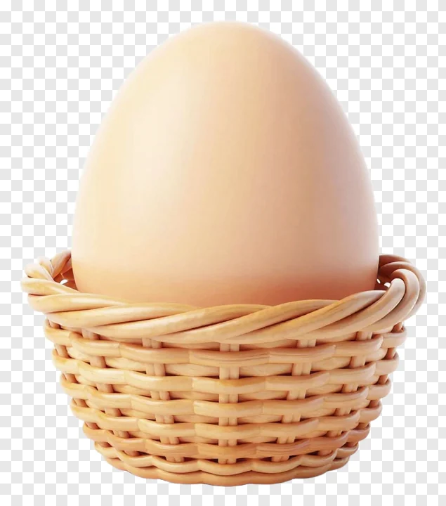 A single egg in a woven basket.
