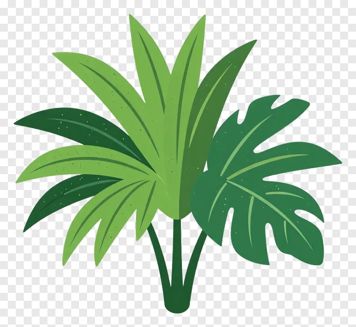 Illustration of tropical palm fronds.