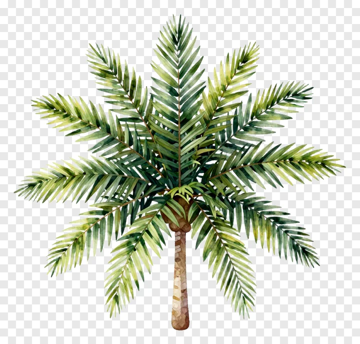A watercolor painting of a palm tree.