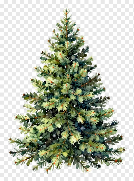 A watercolor-style Christmas tree with green needles and berries.