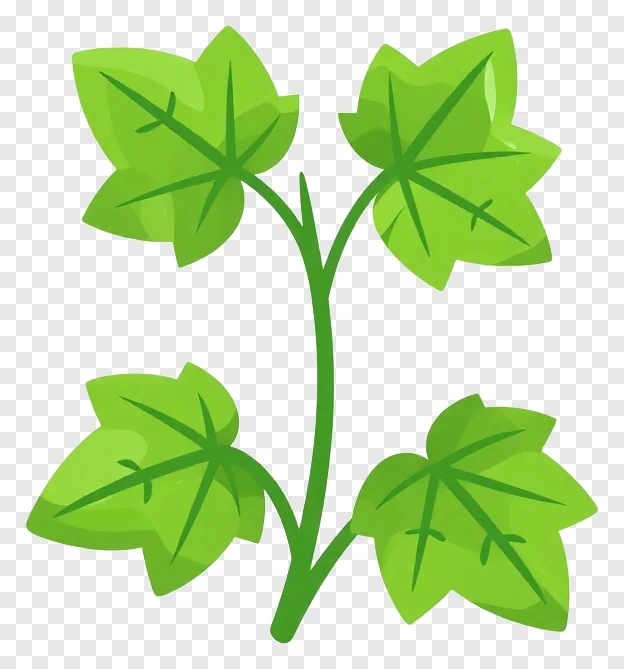 Green vine with four leaf clusters as a divider.