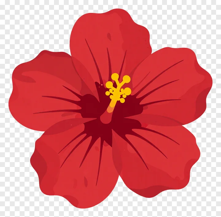 A red hibiscus flower with a yellow stamen.