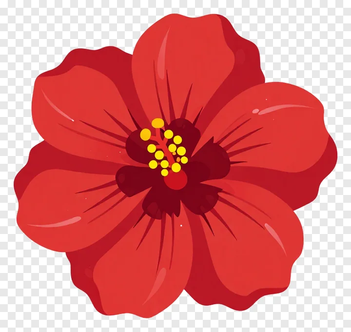 A red hibiscus flower with a yellow center.