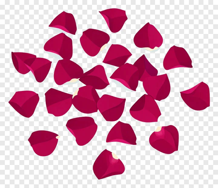 Red rose petals scattered on a white surface.
