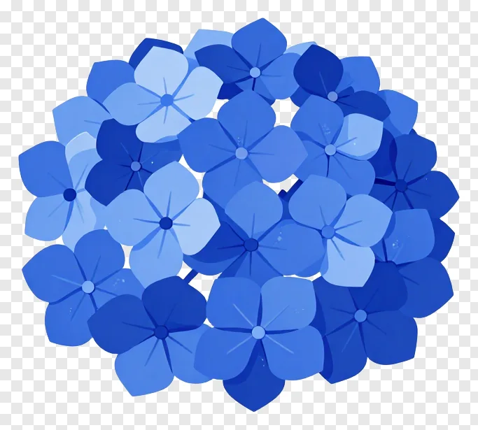 A blue hydrangea bloom with layered petals.