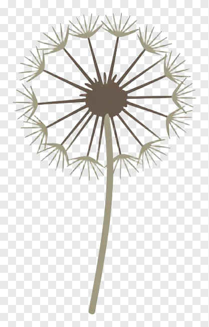 Dandelion seed head floating upward
