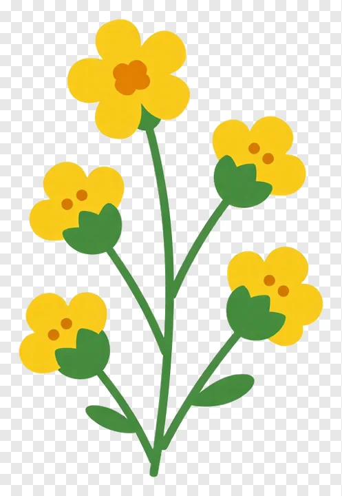 Five bright yellow flowers on green stems.