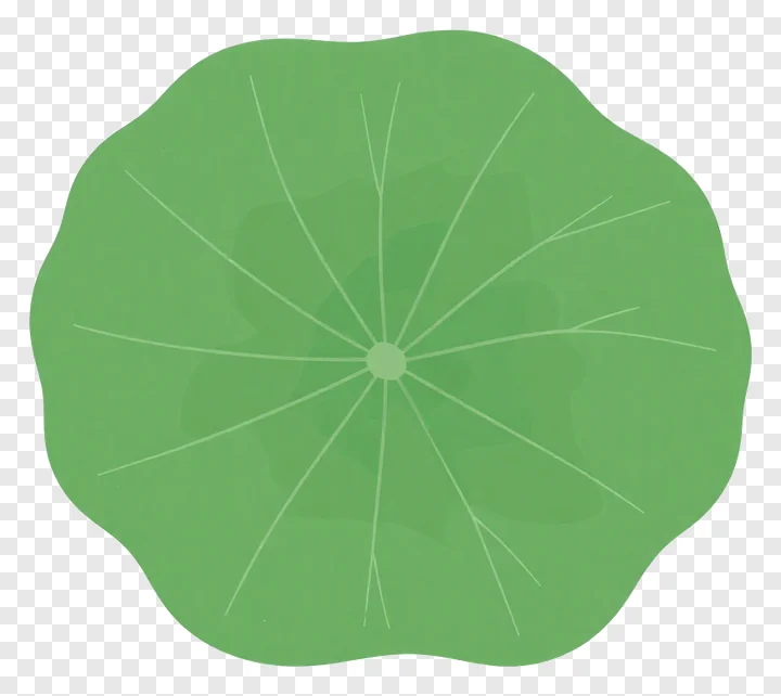 Stylized green lotus leaf edge illustration.