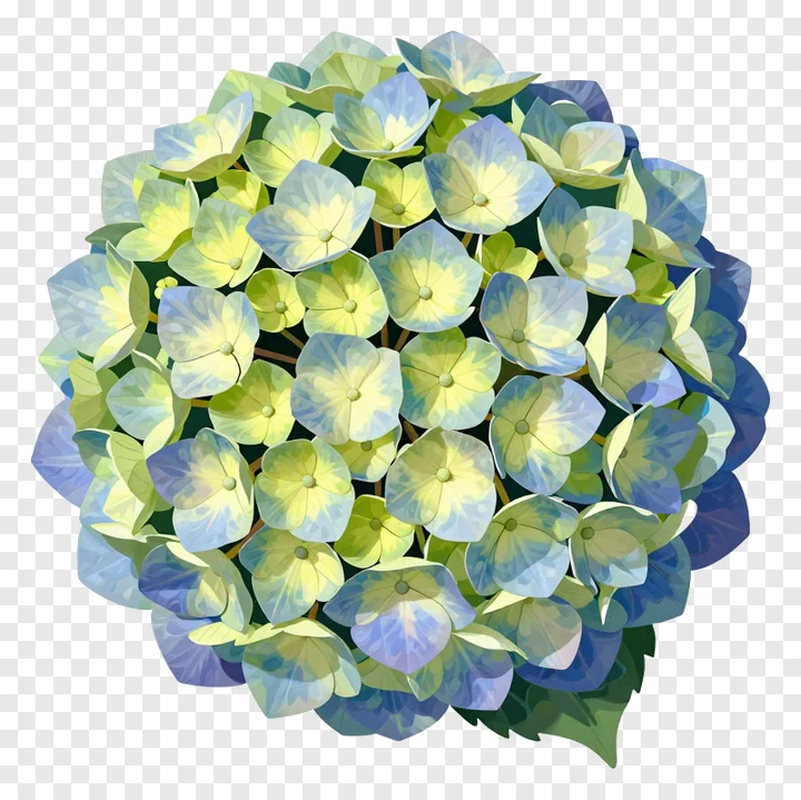 A round bloom of pastel hydrangea flowers.
