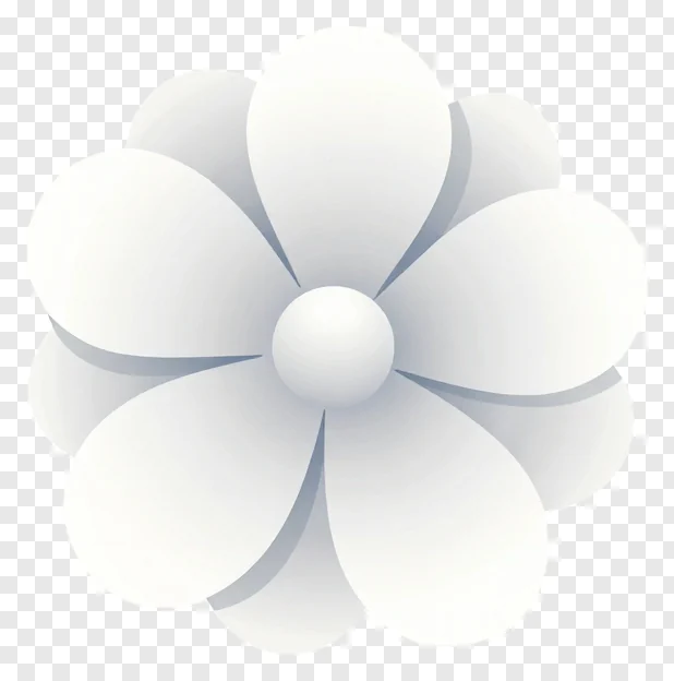 A stylized white flower with smooth petals.