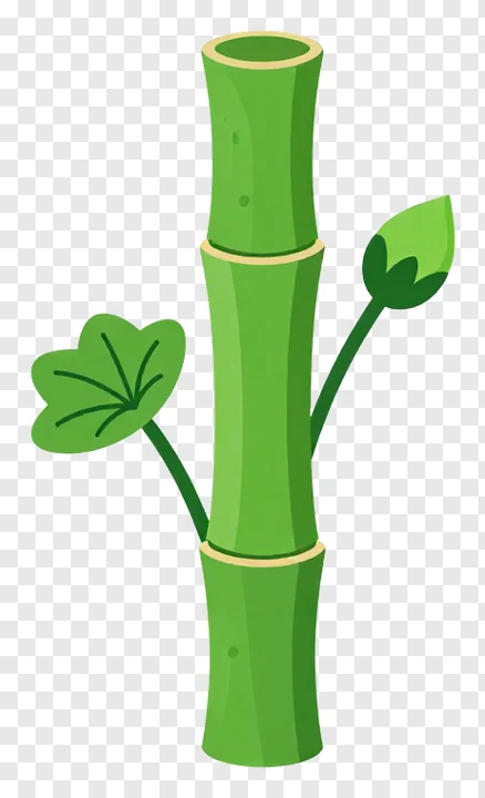 Illustration of a bamboo plant with two leaf clusters.