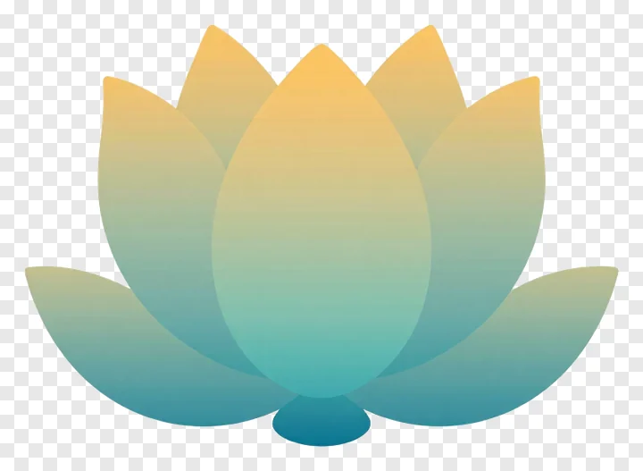 Lotus bud with gradient color tint.