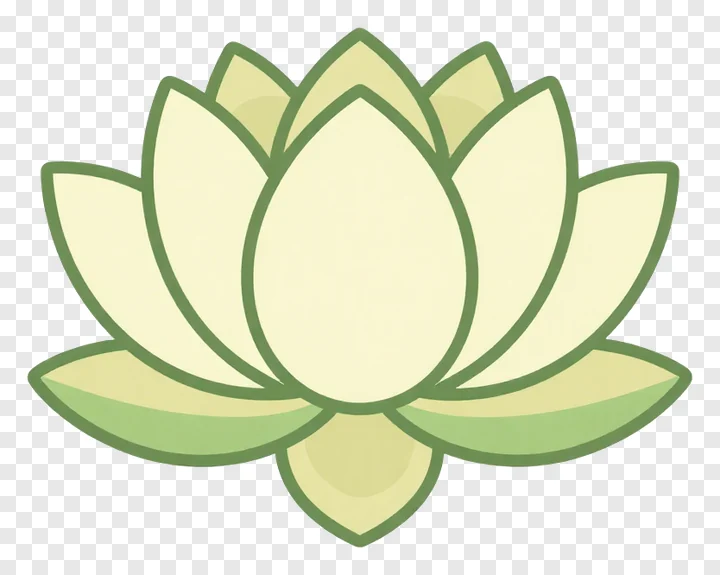 A blooming lotus flower with green and cream petals.