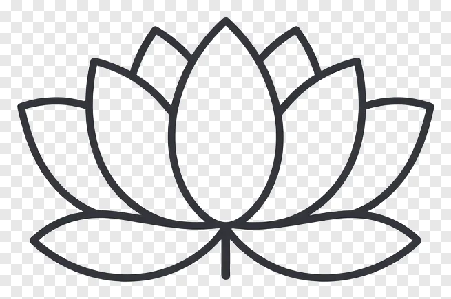 A lotus flower with a tiny stem.