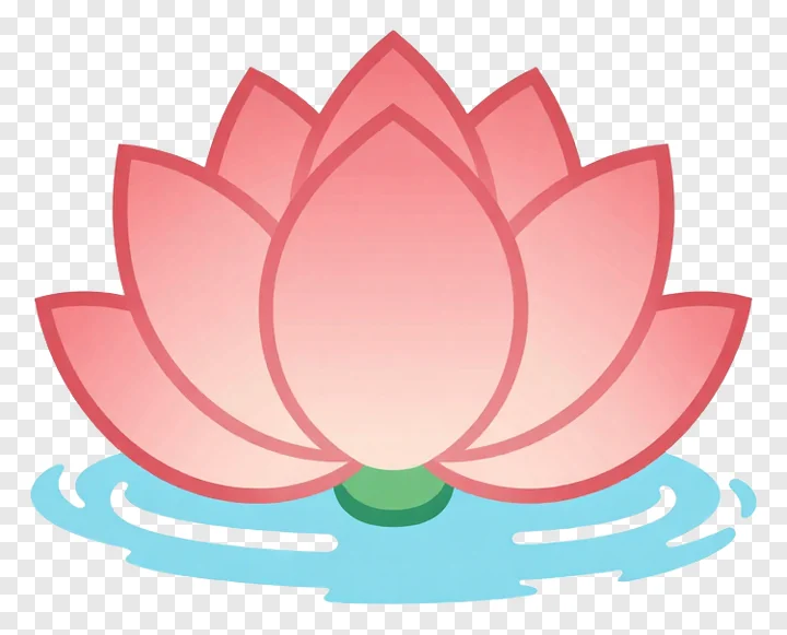 Pink lotus flower blooming above water.